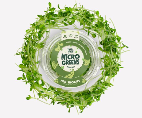 3590d6f7-fbb8-4fc3-92e1-eca5fcb6f71b