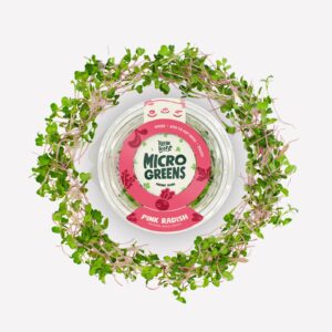 Pink Radish Microgreens