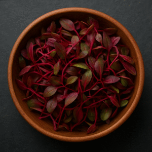 Amaranth Microgreens
