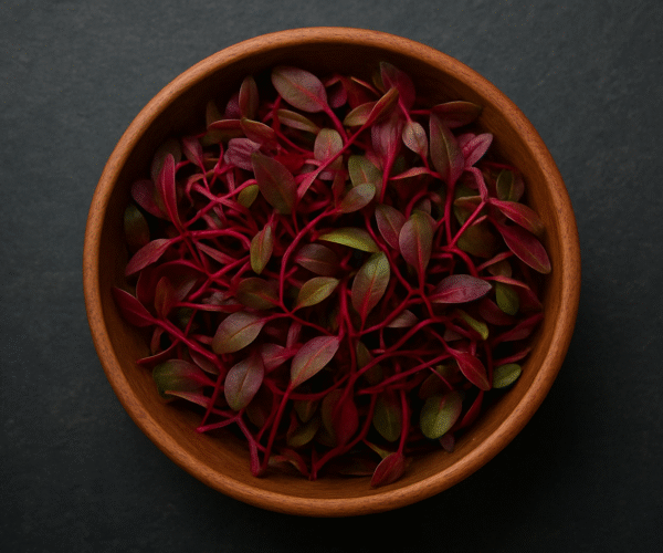 ChatGPT Image Nov 17, 2025, 08_18_49 PM