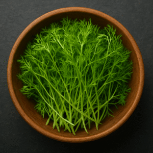 Fennel Microgreens