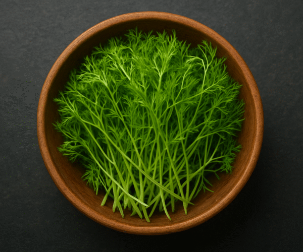 ChatGPT Image Nov 17, 2025, 08_19_28 PM