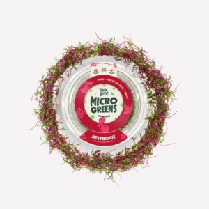 Beetroot Microgreens